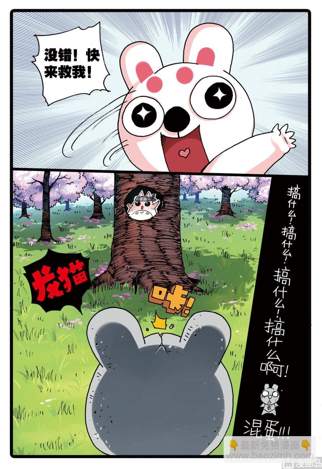 第156话 龙猫