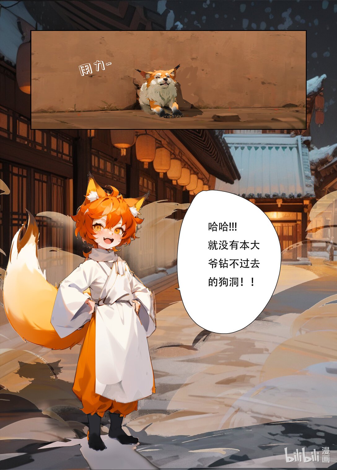 狐狸阿里 狐狸阿里