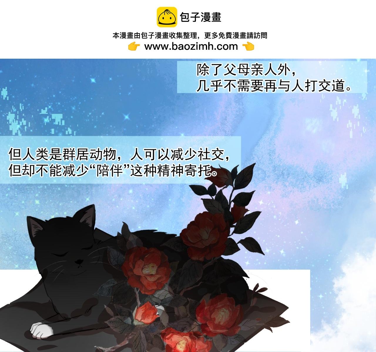 买到白菜机器人啦
