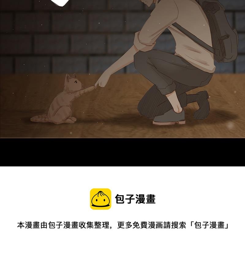 猫的寂寥 第1集