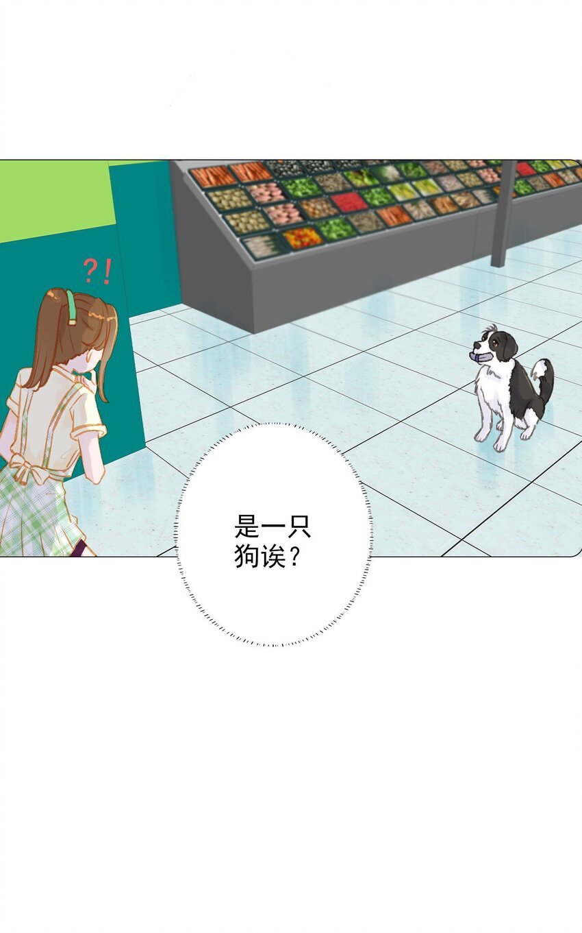 全一话 它叫永吉