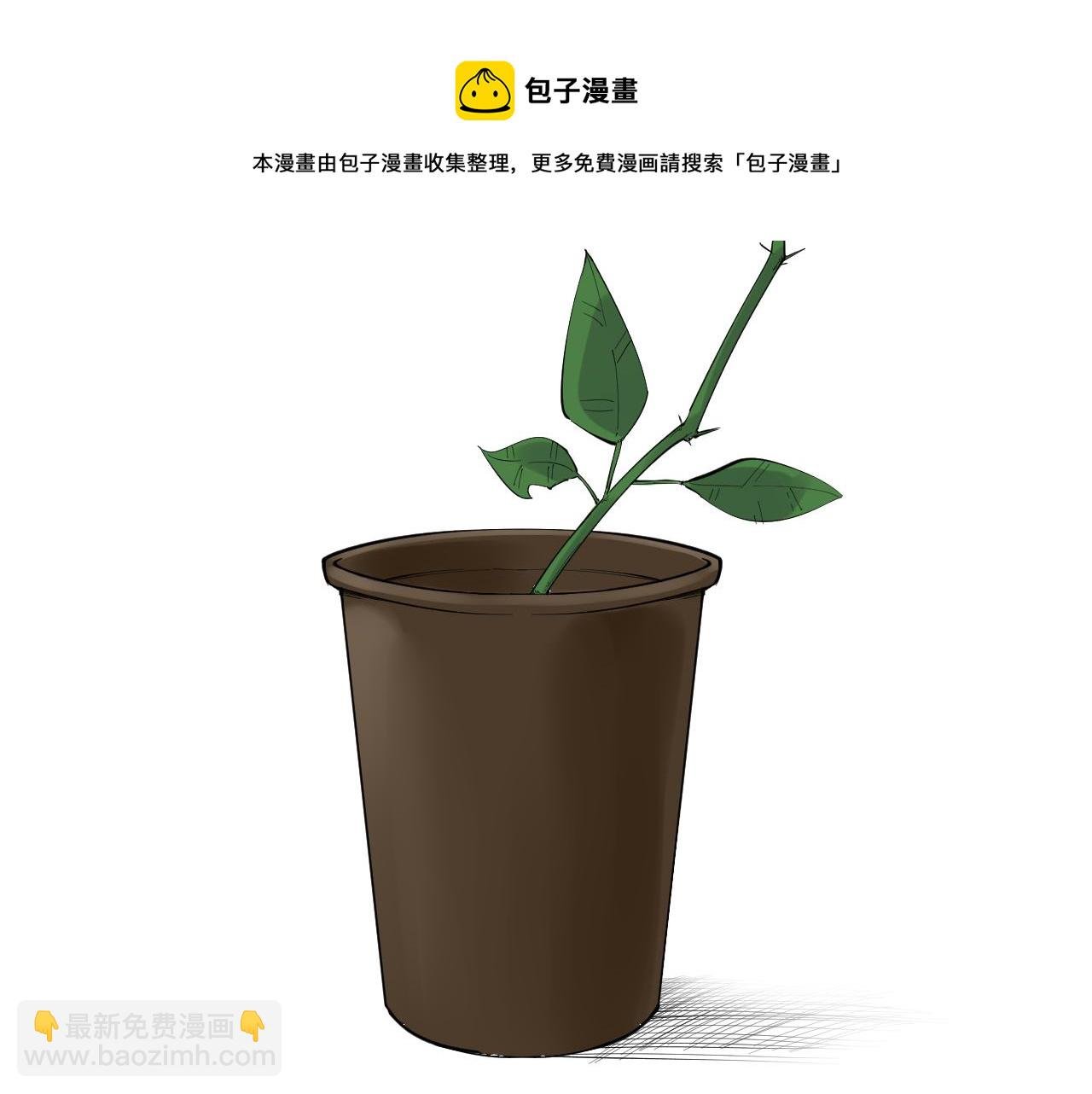 第151话 二人世界
