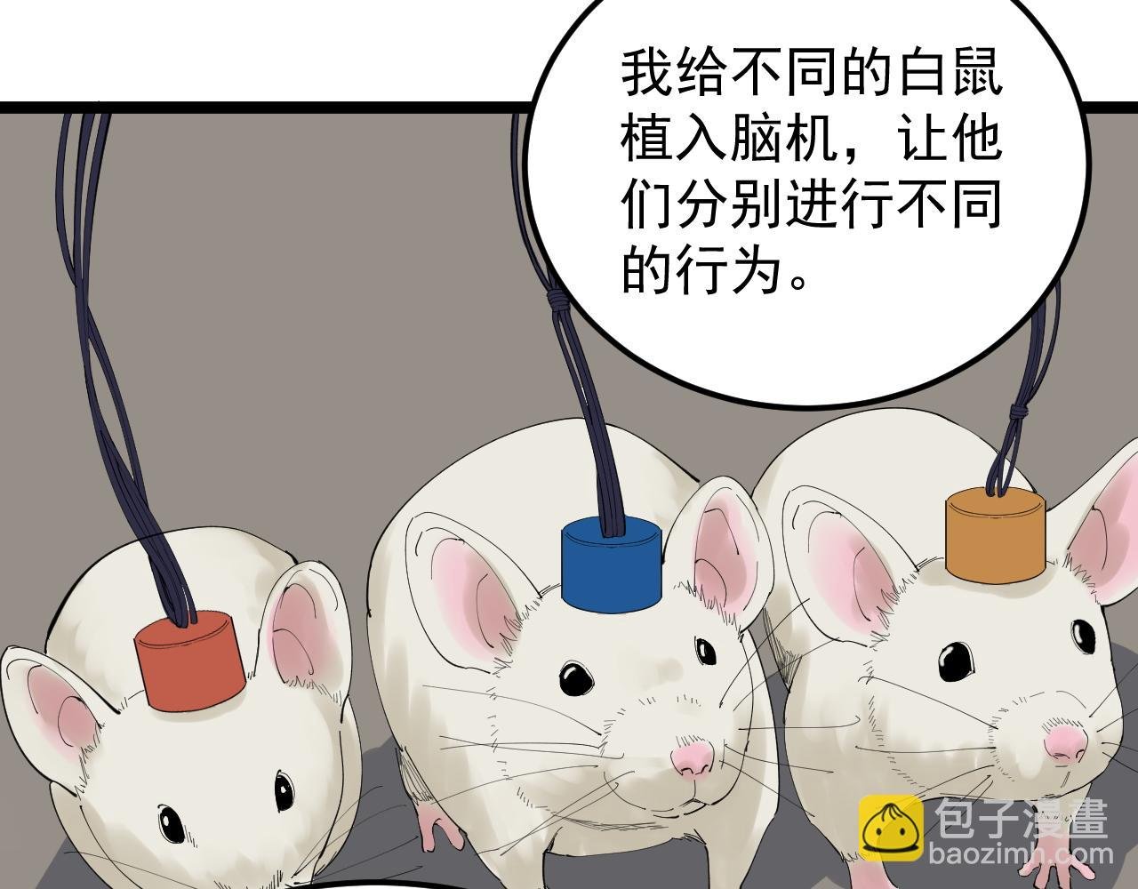第192话 老鼠实验