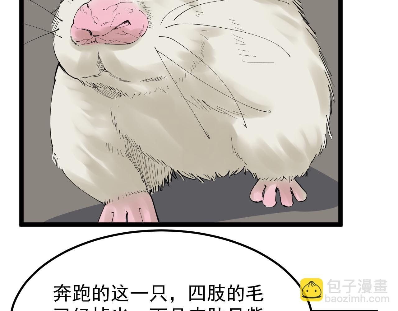 第192话 老鼠实验