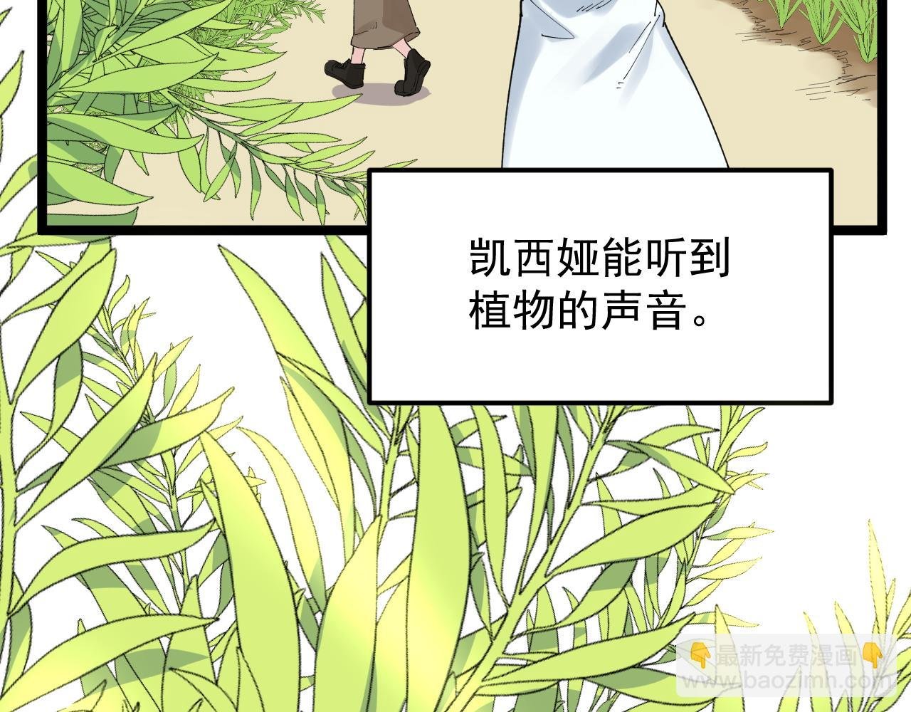 第209话 往事如风