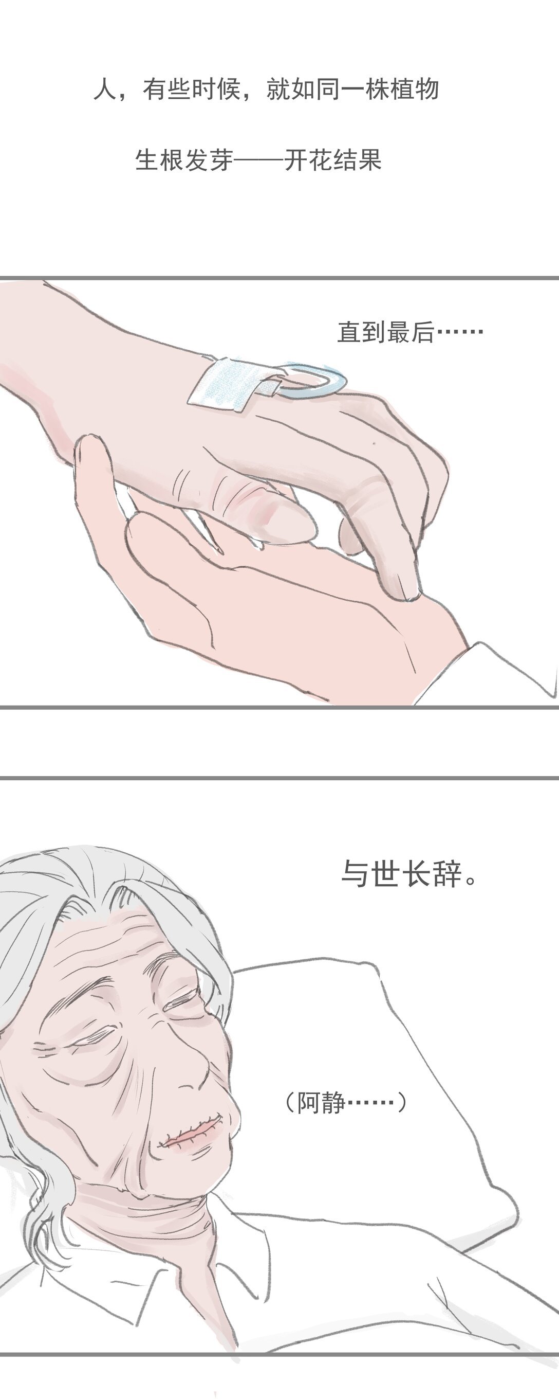 1碎片 如须臾间的重逢
