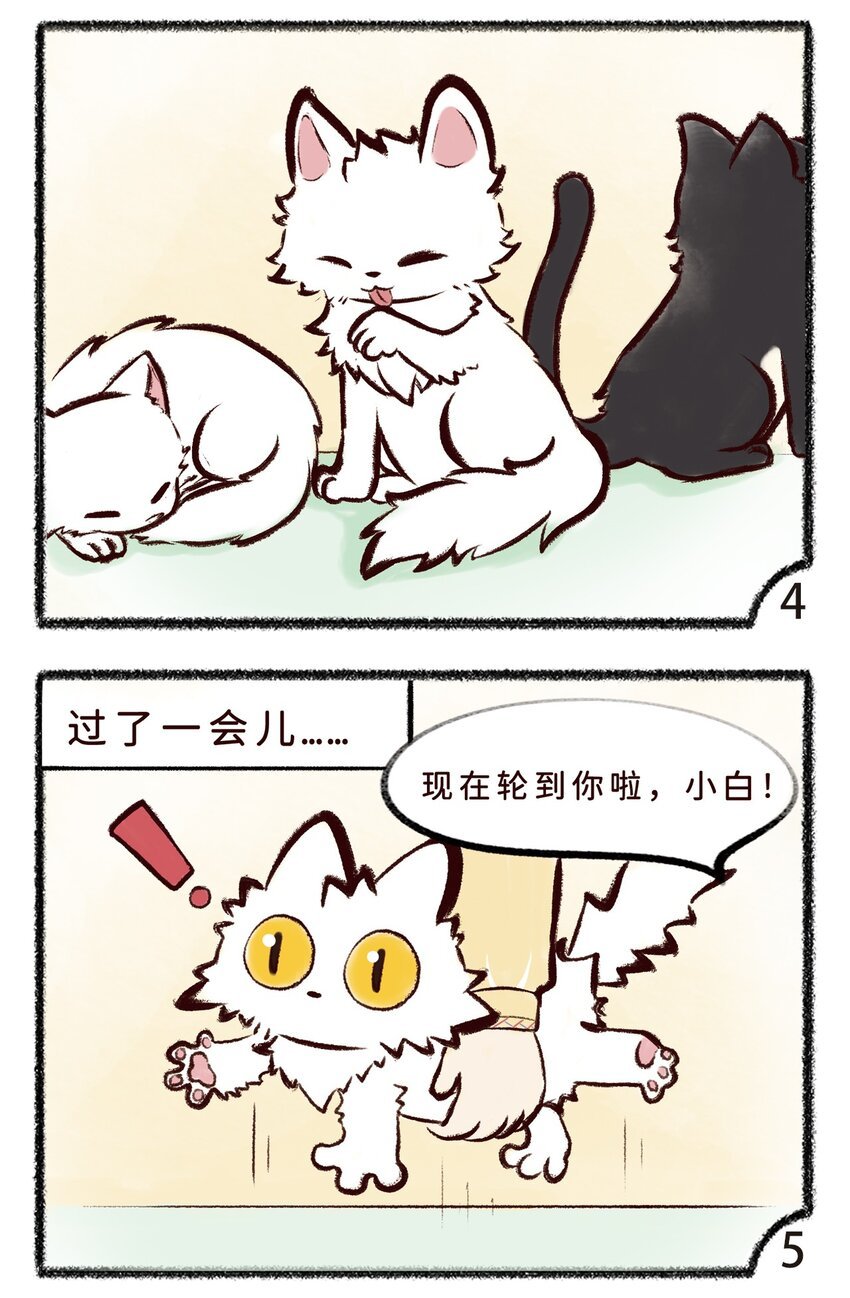第十二话 小白or小黑