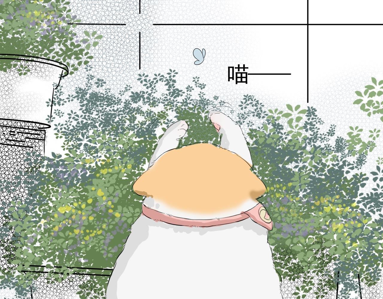 送你一朵小雏菊
