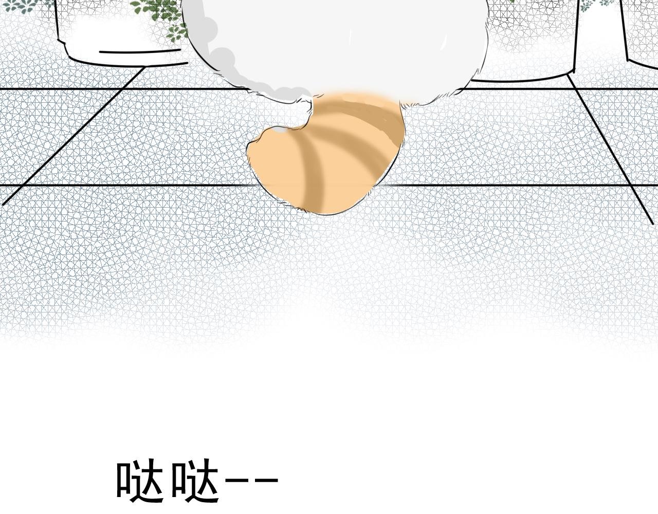 送你一朵小雏菊