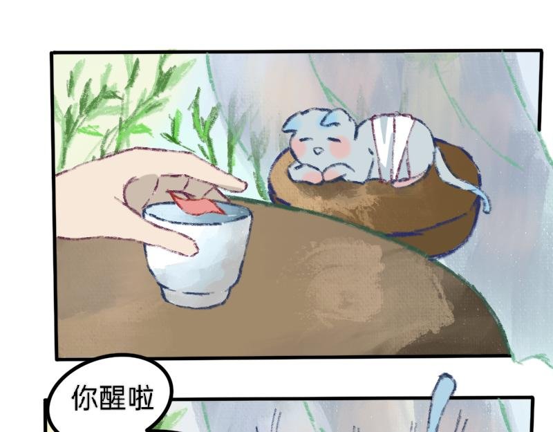 死亡与初见