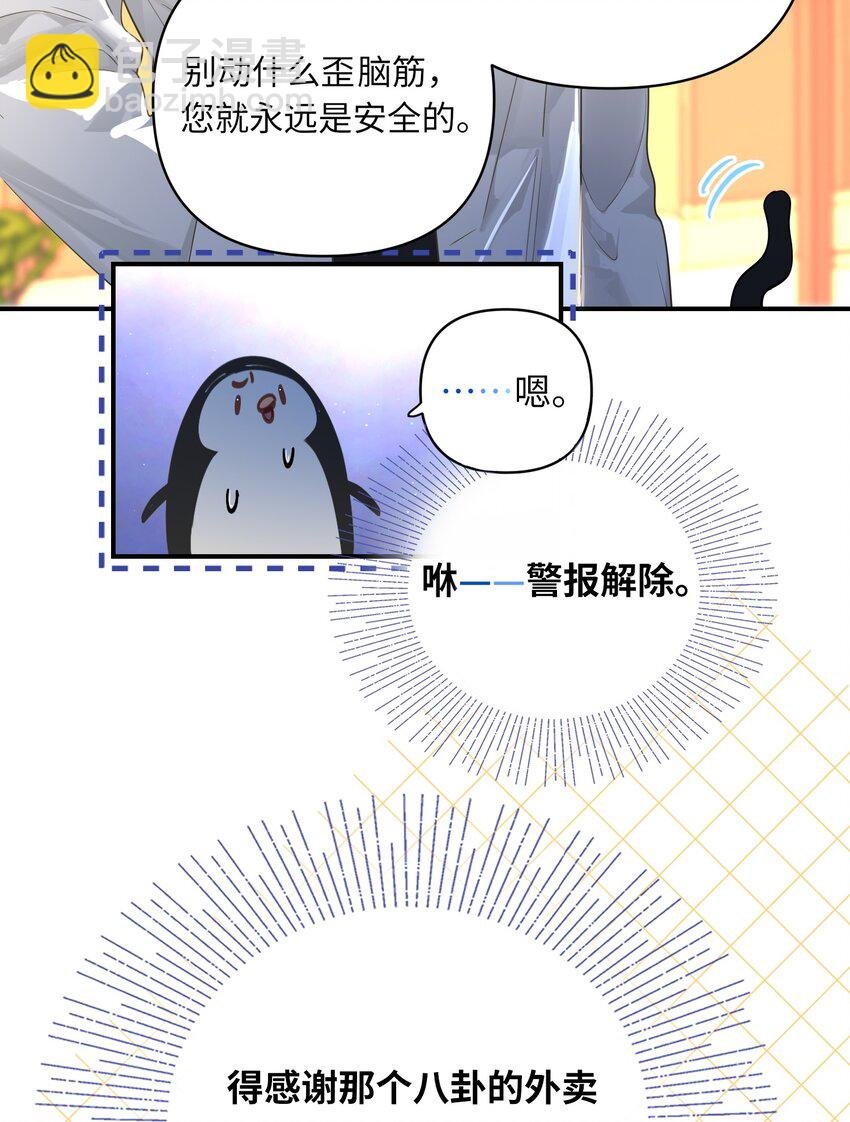 013 强迫猫咪吞咽