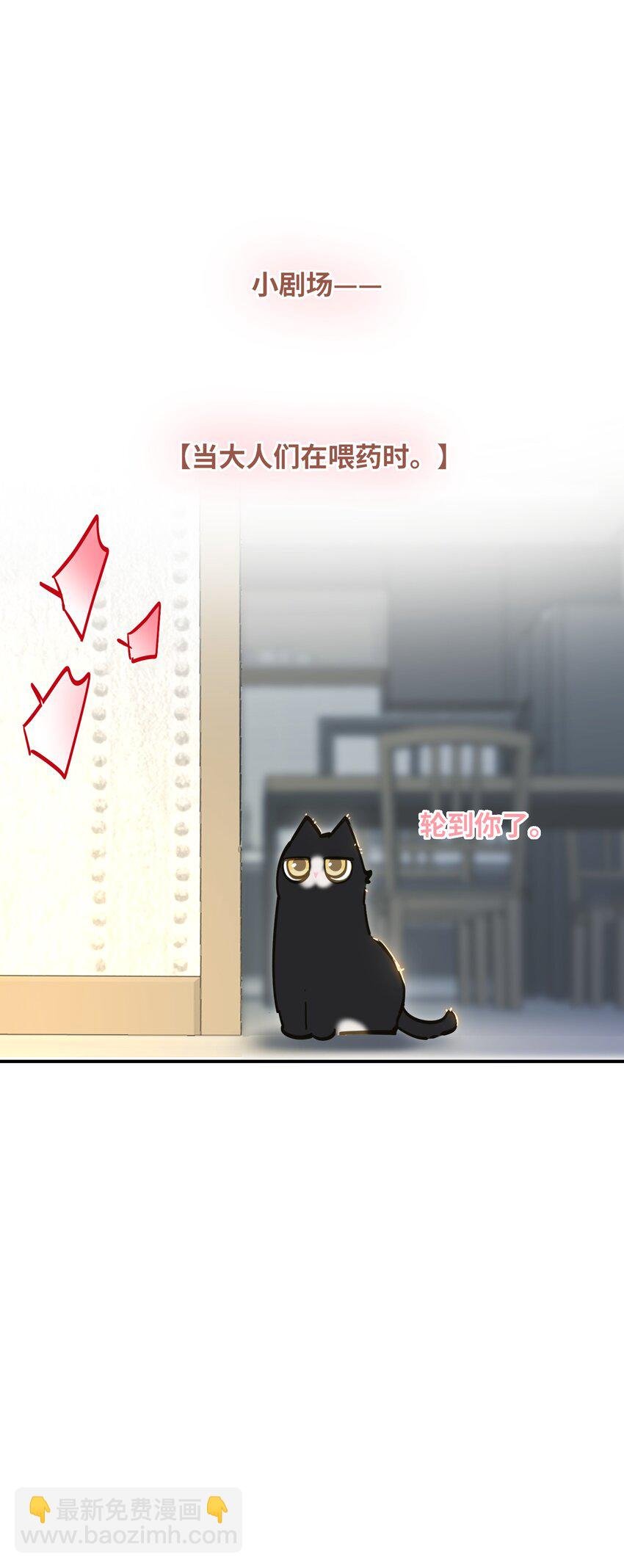 013 强迫猫咪吞咽