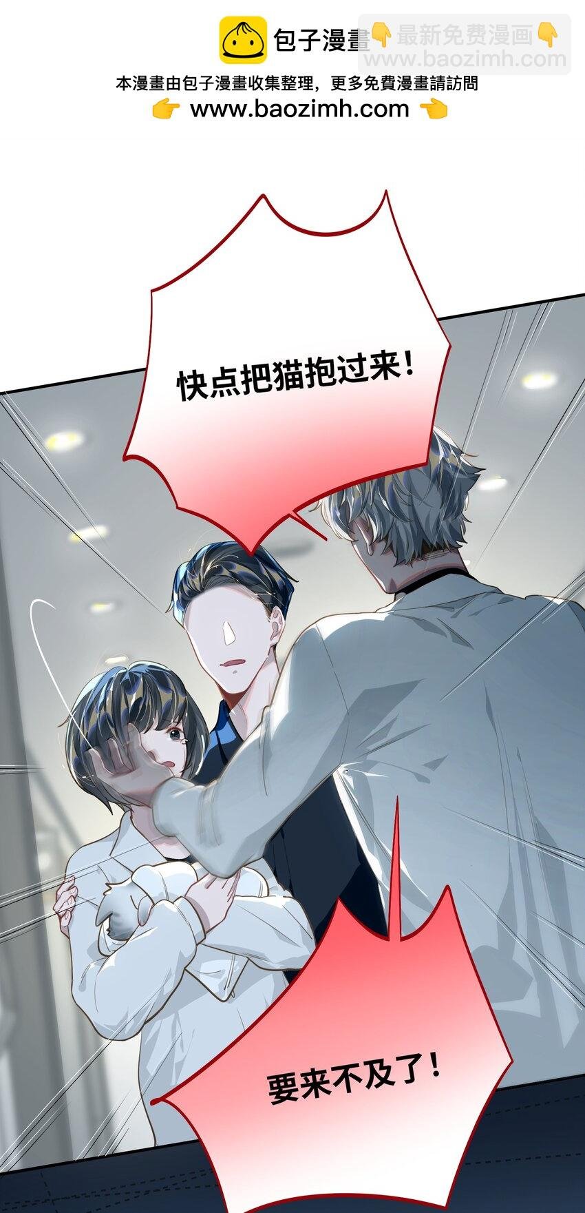 018 受伤的猫