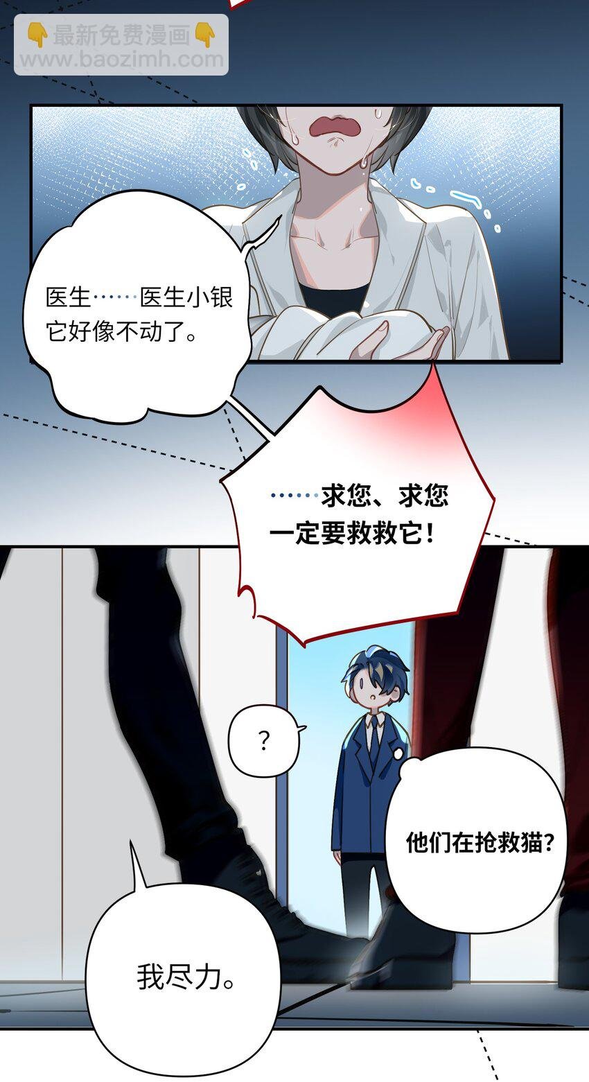 018 受伤的猫
