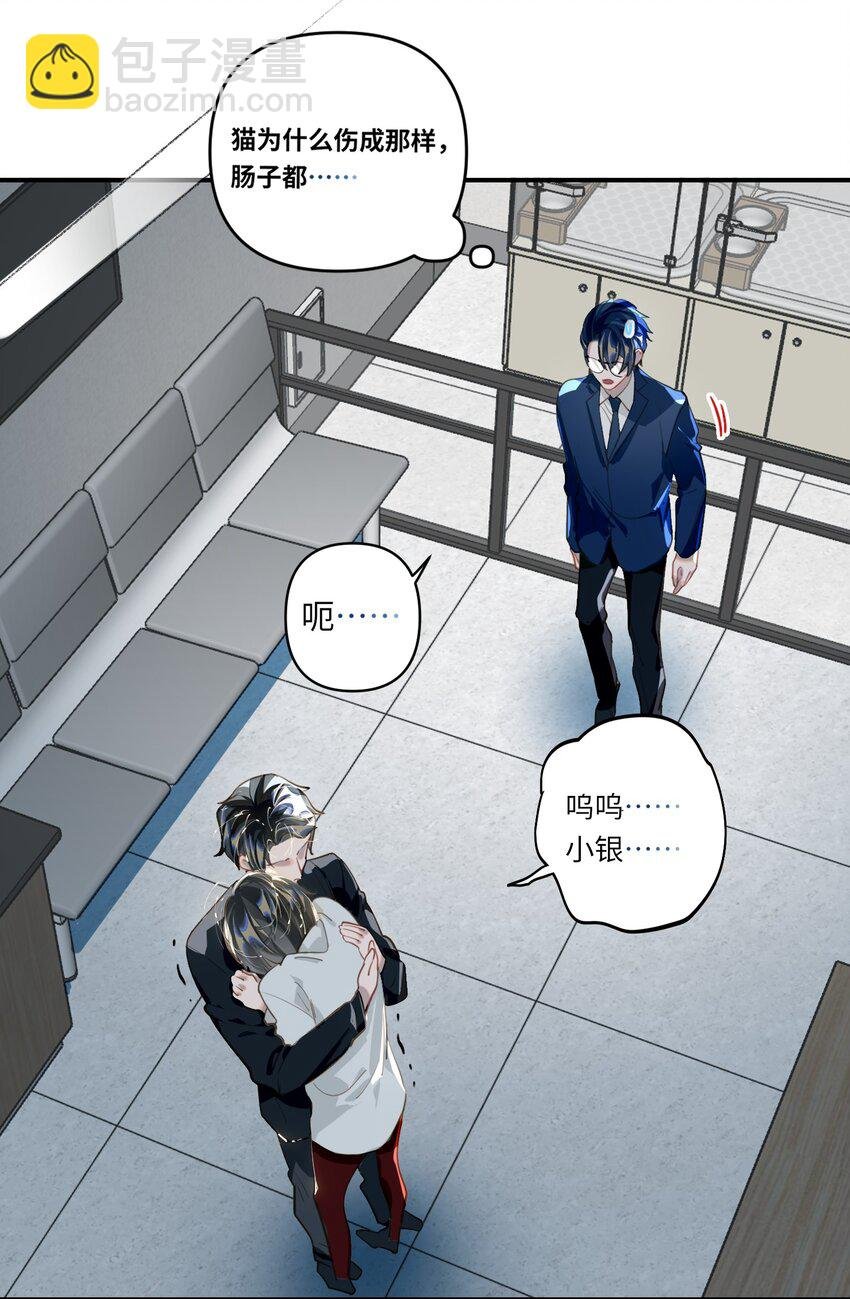 018 受伤的猫