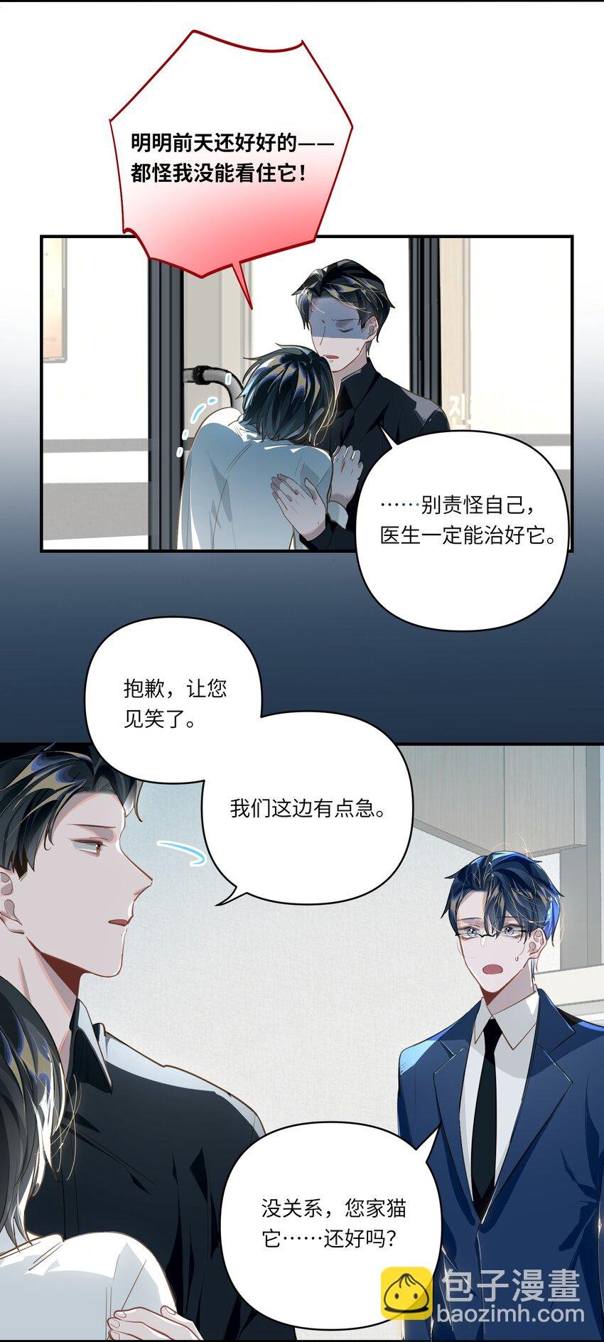 018 受伤的猫