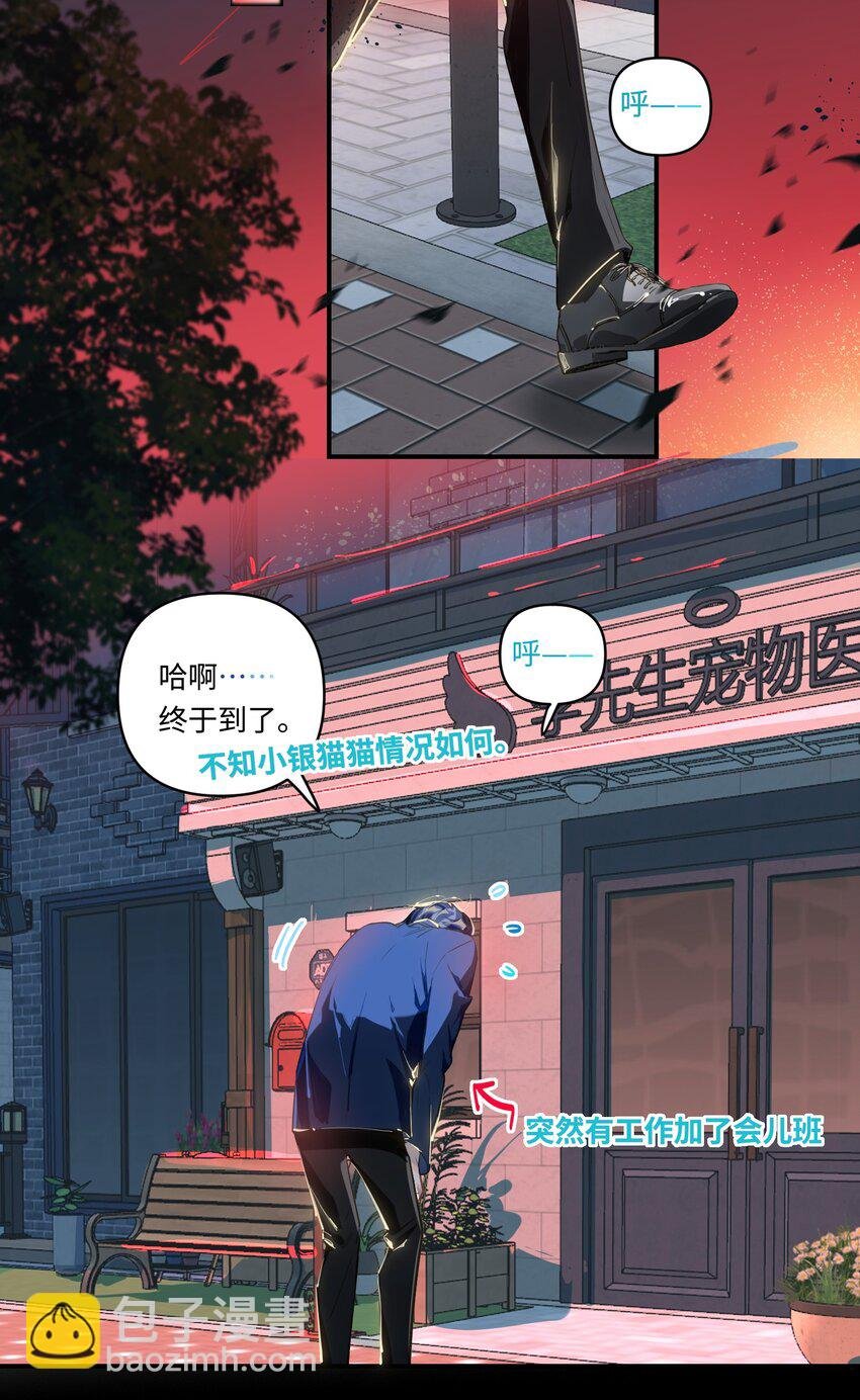 018 受伤的猫