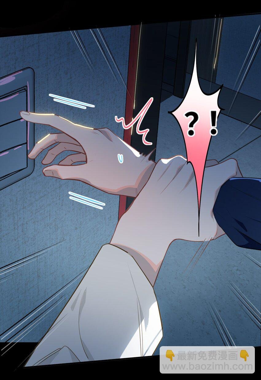 018 受伤的猫