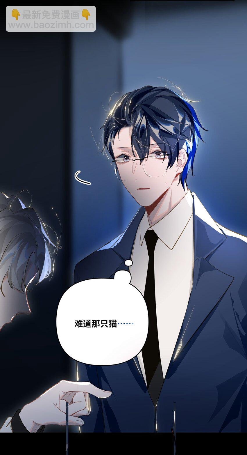 018 受伤的猫