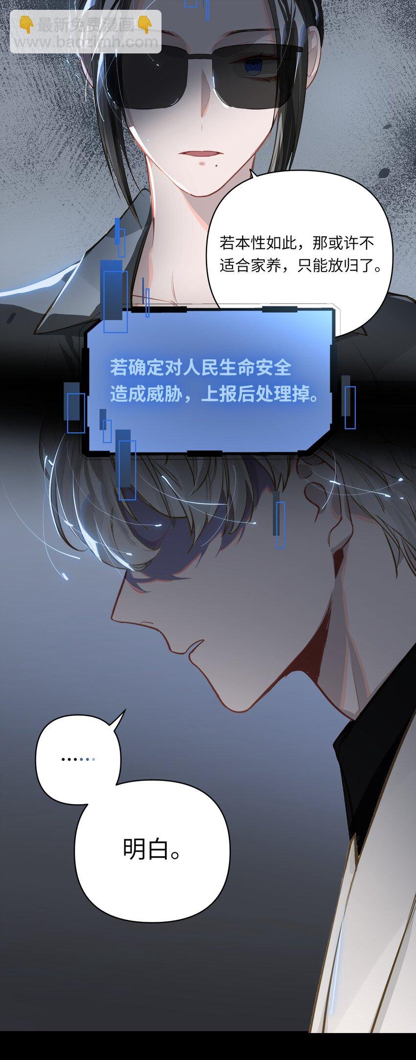 020 暴虐的猫