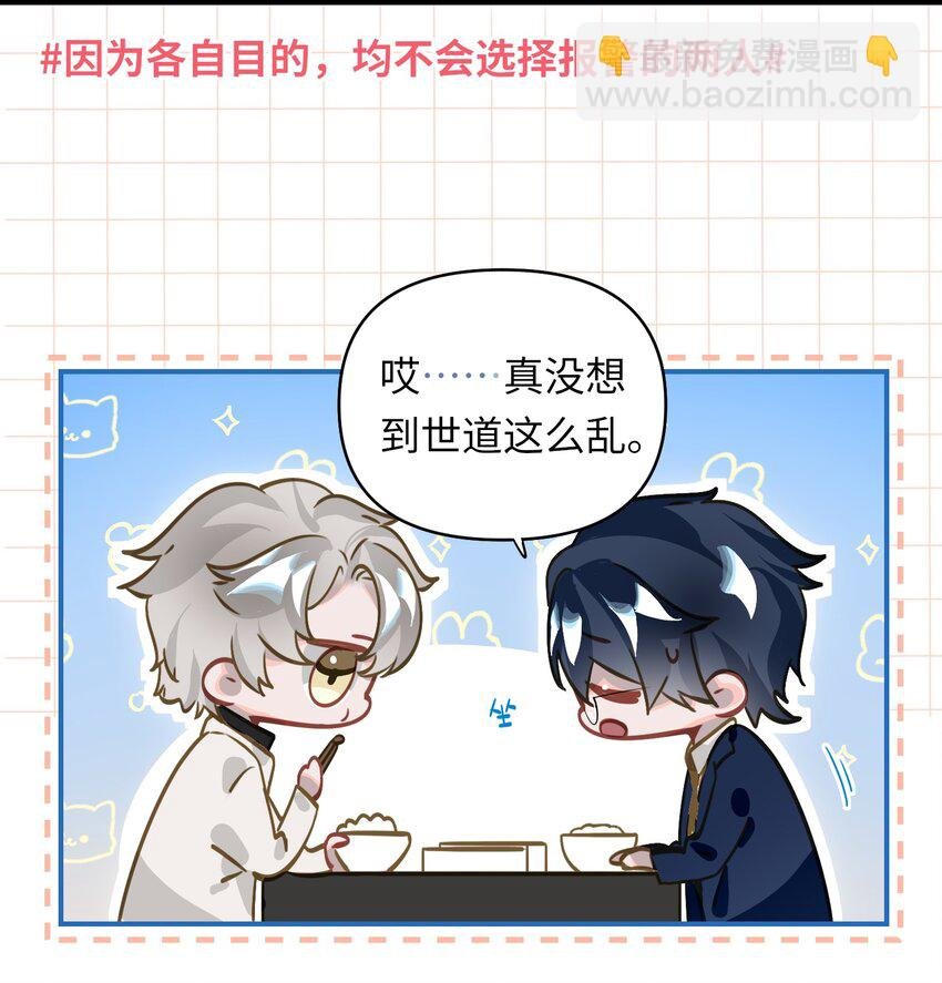 020 暴虐的猫