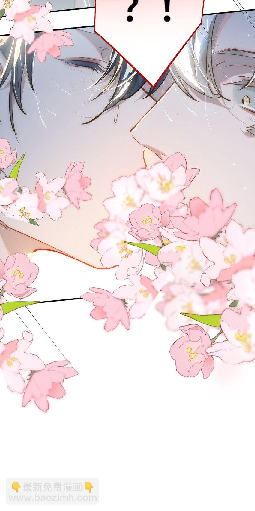 020 暴虐的猫