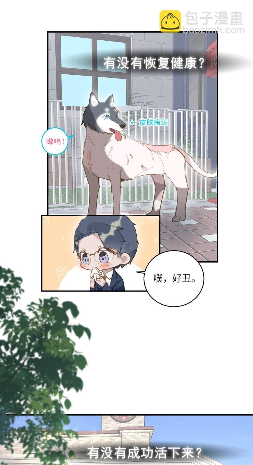 002 美好的他