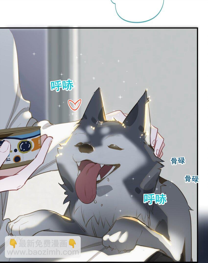 002 美好的他