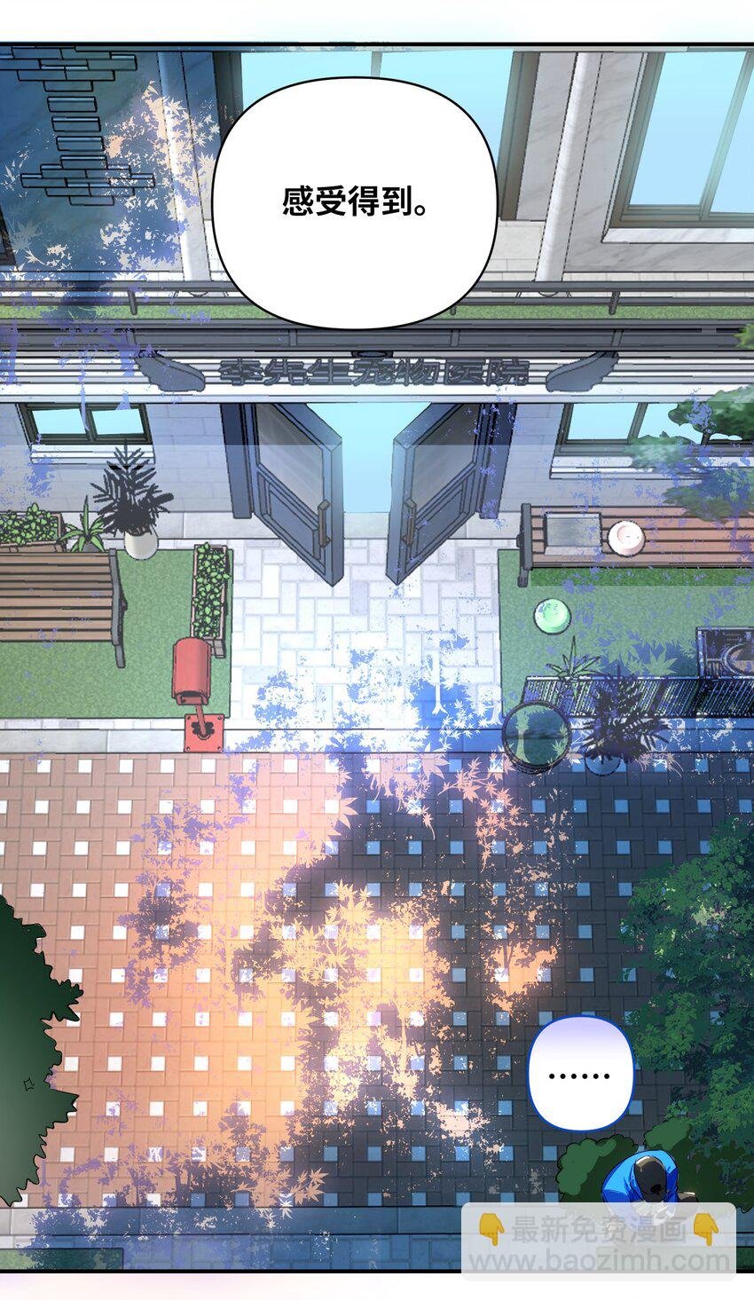 035 大明星？