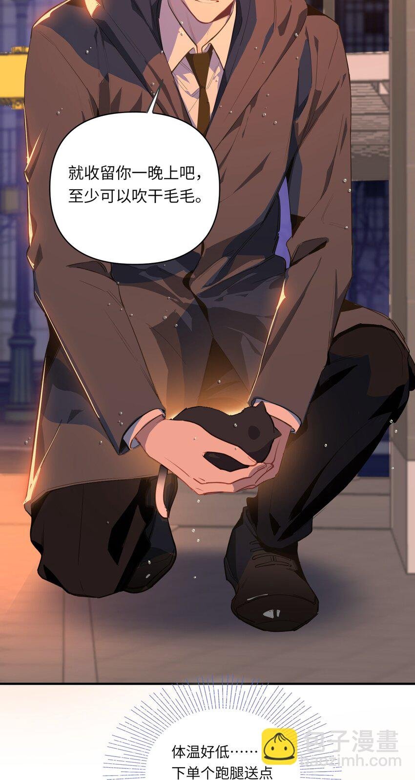 004 捡到猫了！