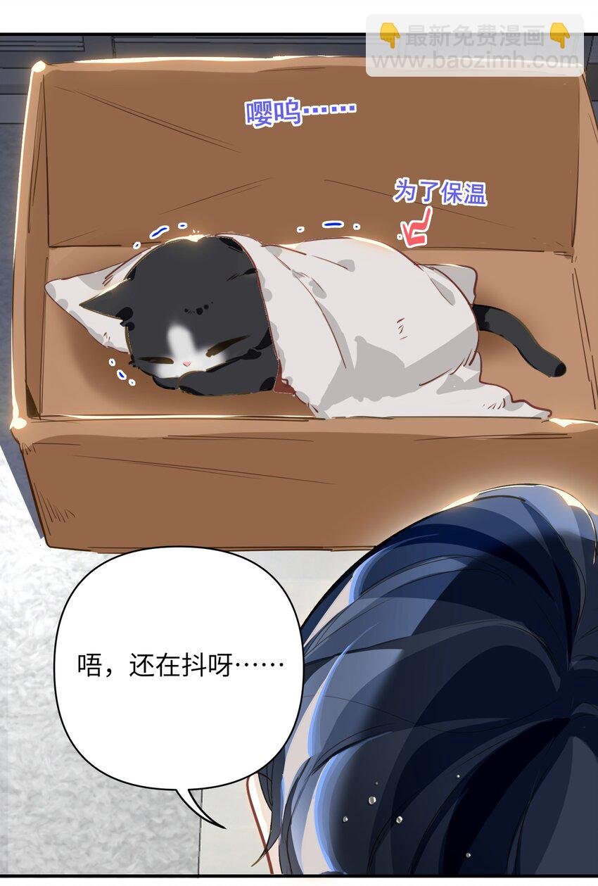004 捡到猫了！