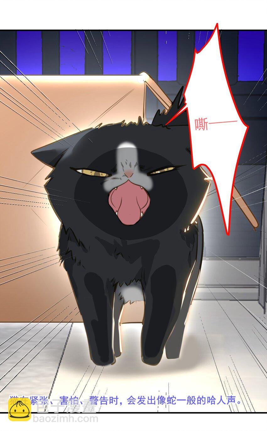 005 对峙