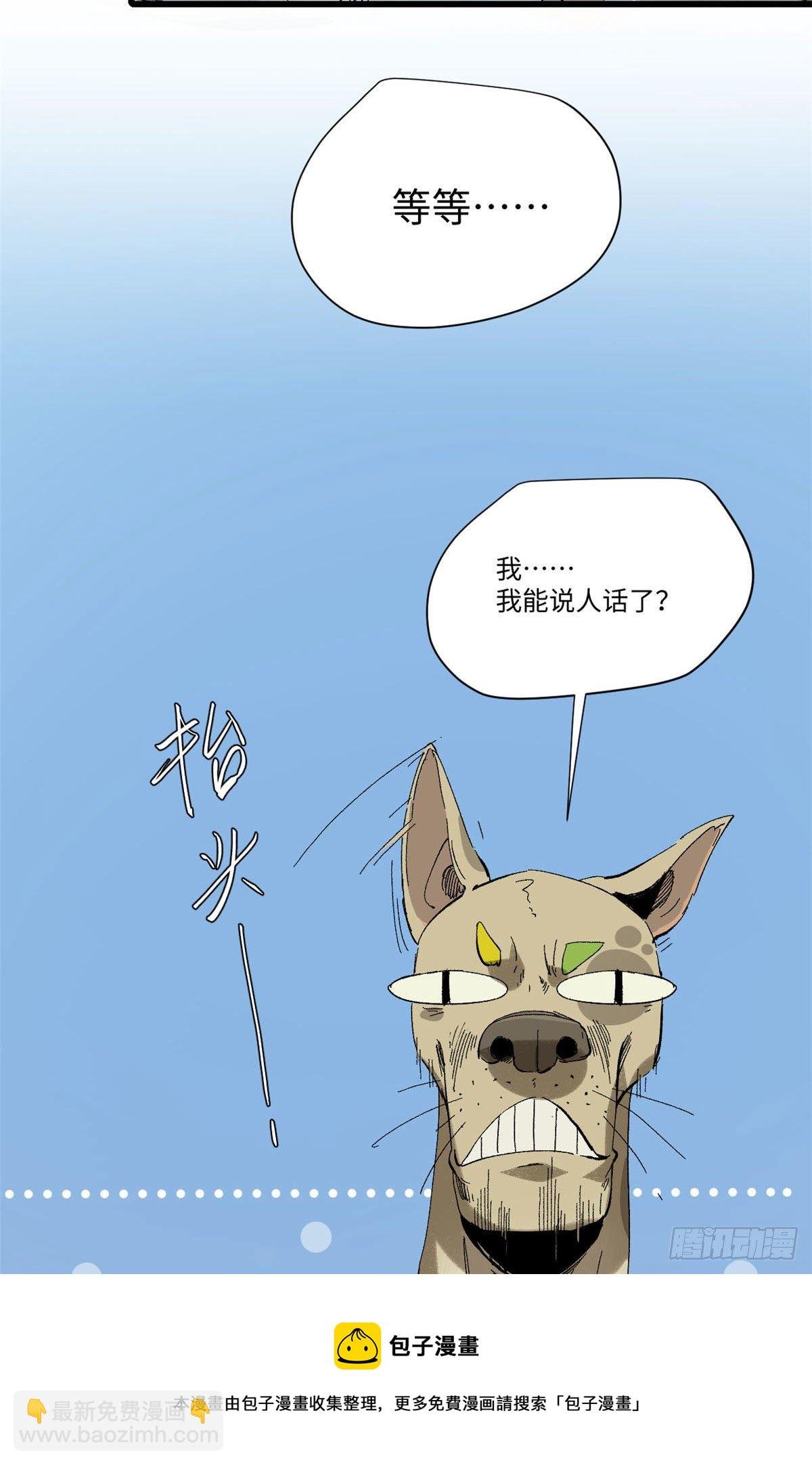029 忠犬