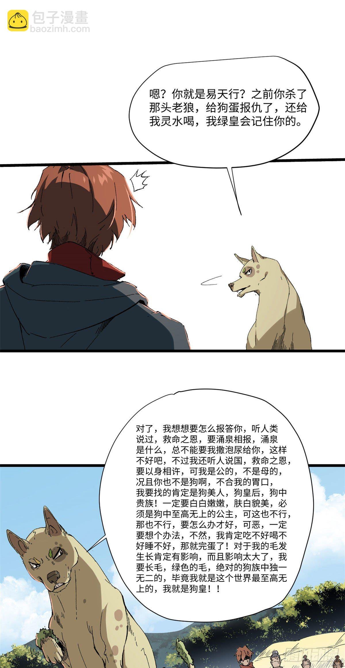 029 忠犬