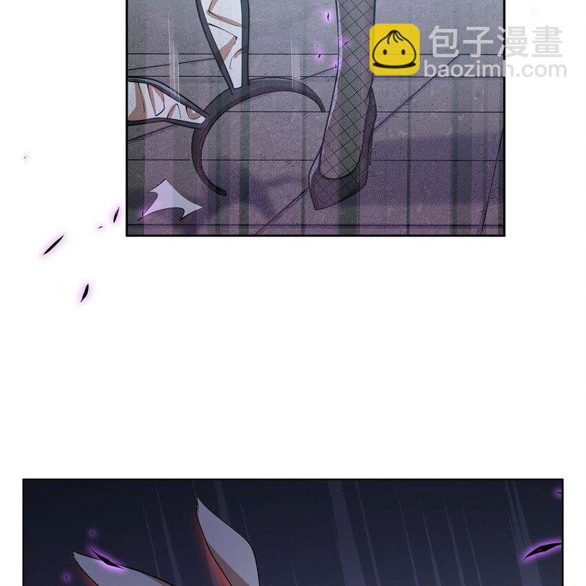 17 兔小姐