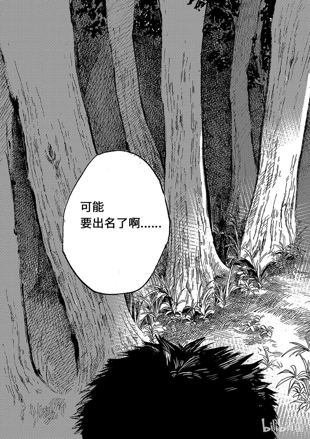 01 密林深处