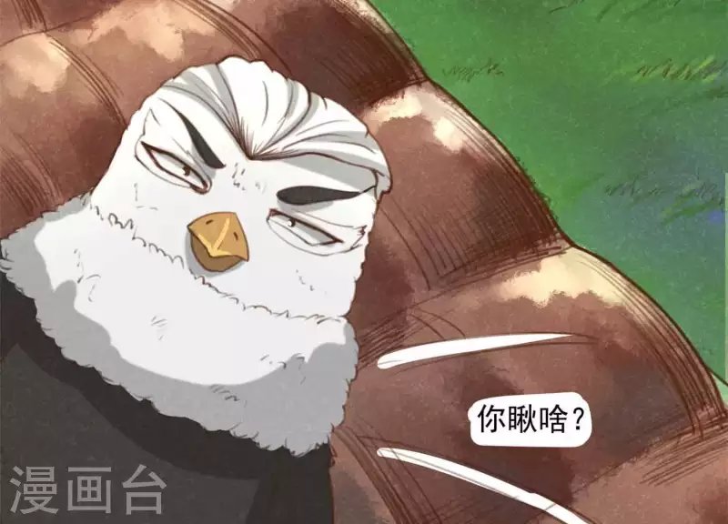 第11话 亮亮爱吃珠珠