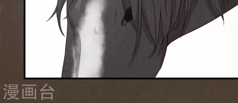 第11话 亮亮爱吃珠珠