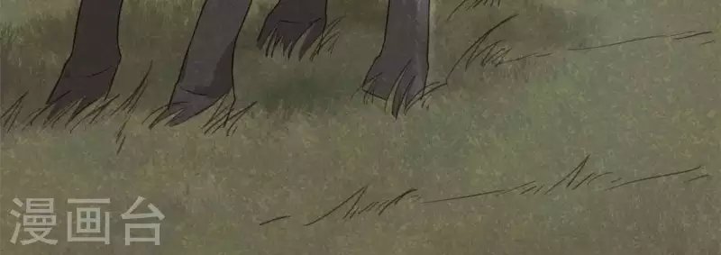 第11话 亮亮爱吃珠珠