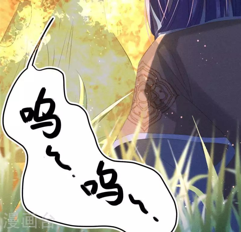 第44话 战火