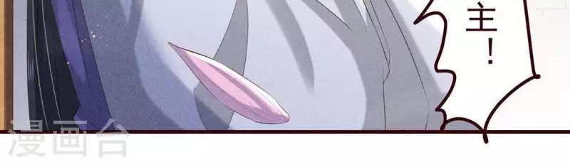 第51话 只此一生只为遇见你