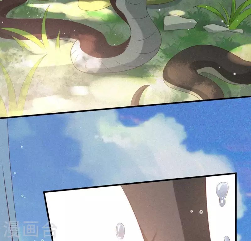 第71话 奇怪的哥哥们