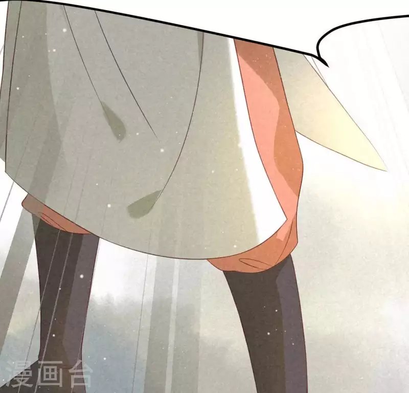 第71话 奇怪的哥哥们