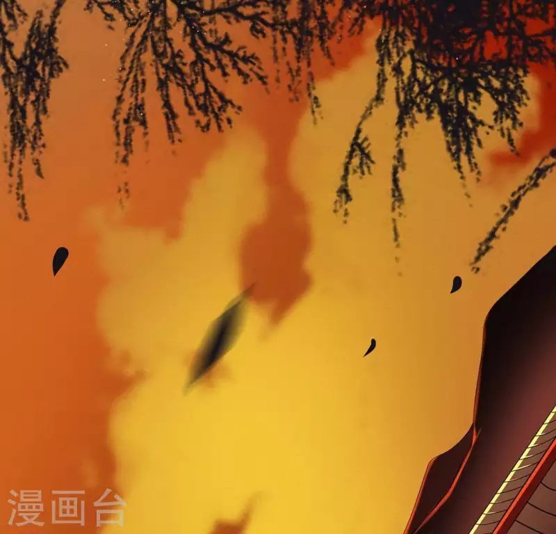 第71话 奇怪的哥哥们