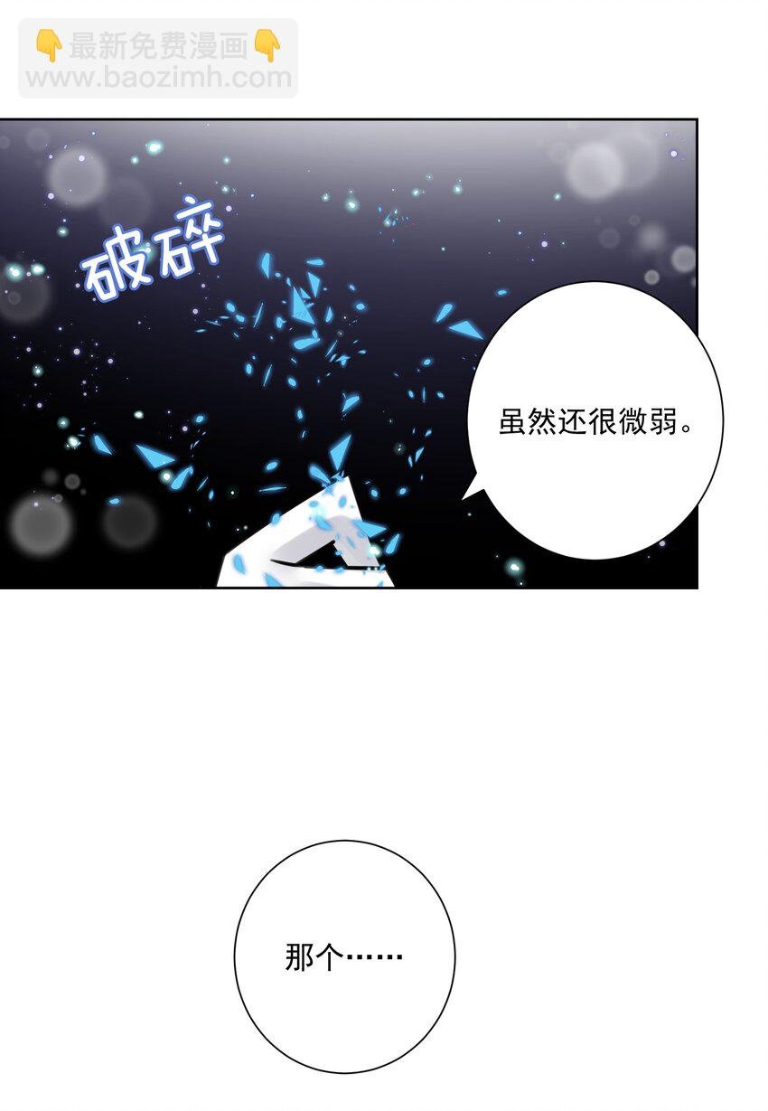 026 蘑菇？