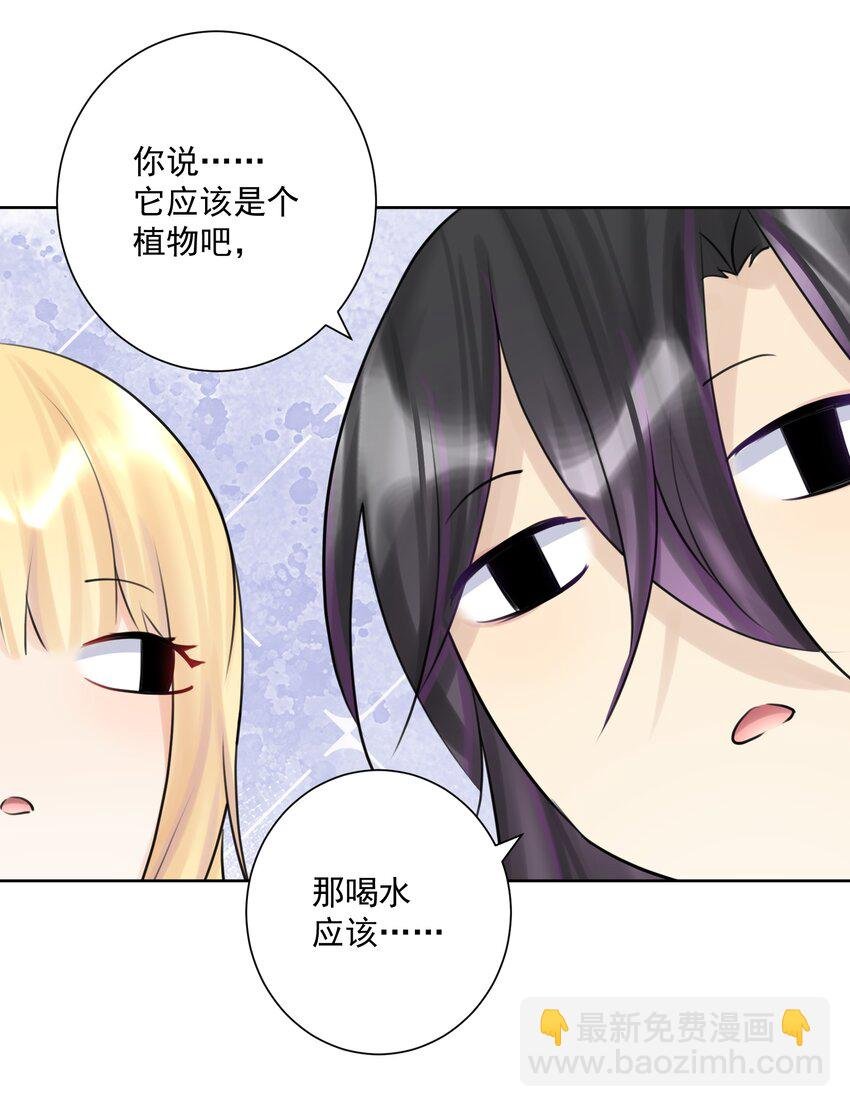 027 教主的根基