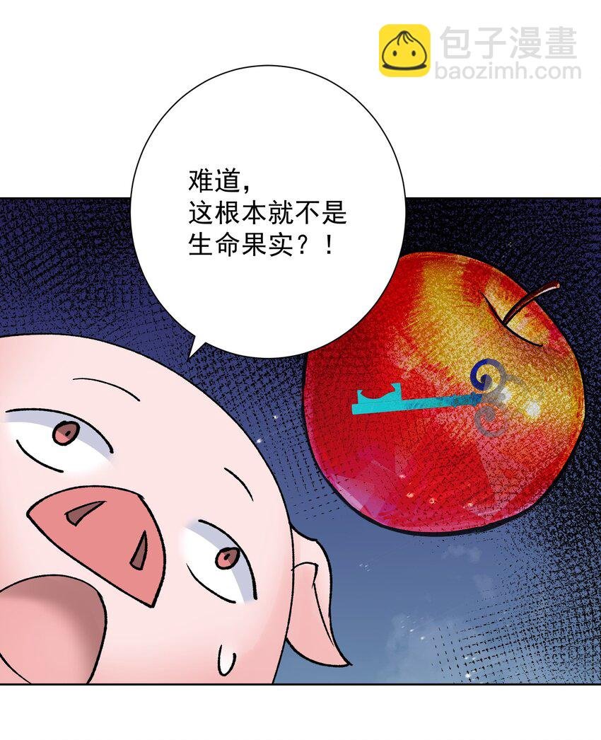 040 国度降临！