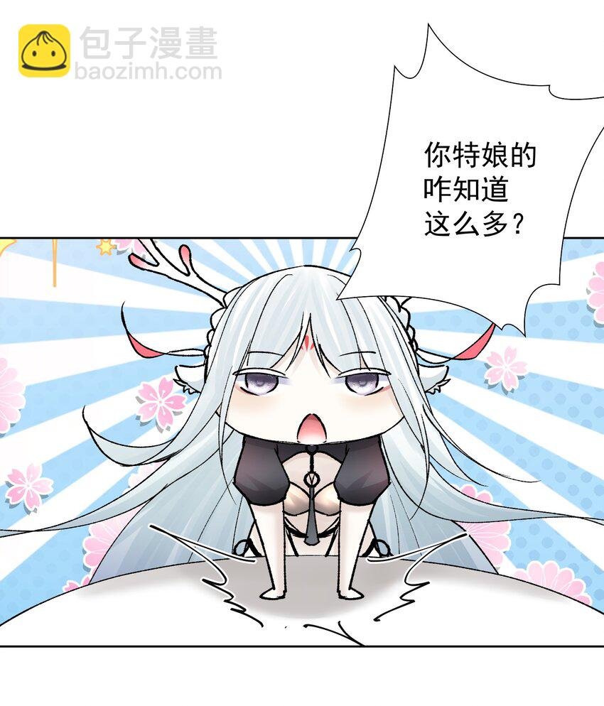 040 国度降临！