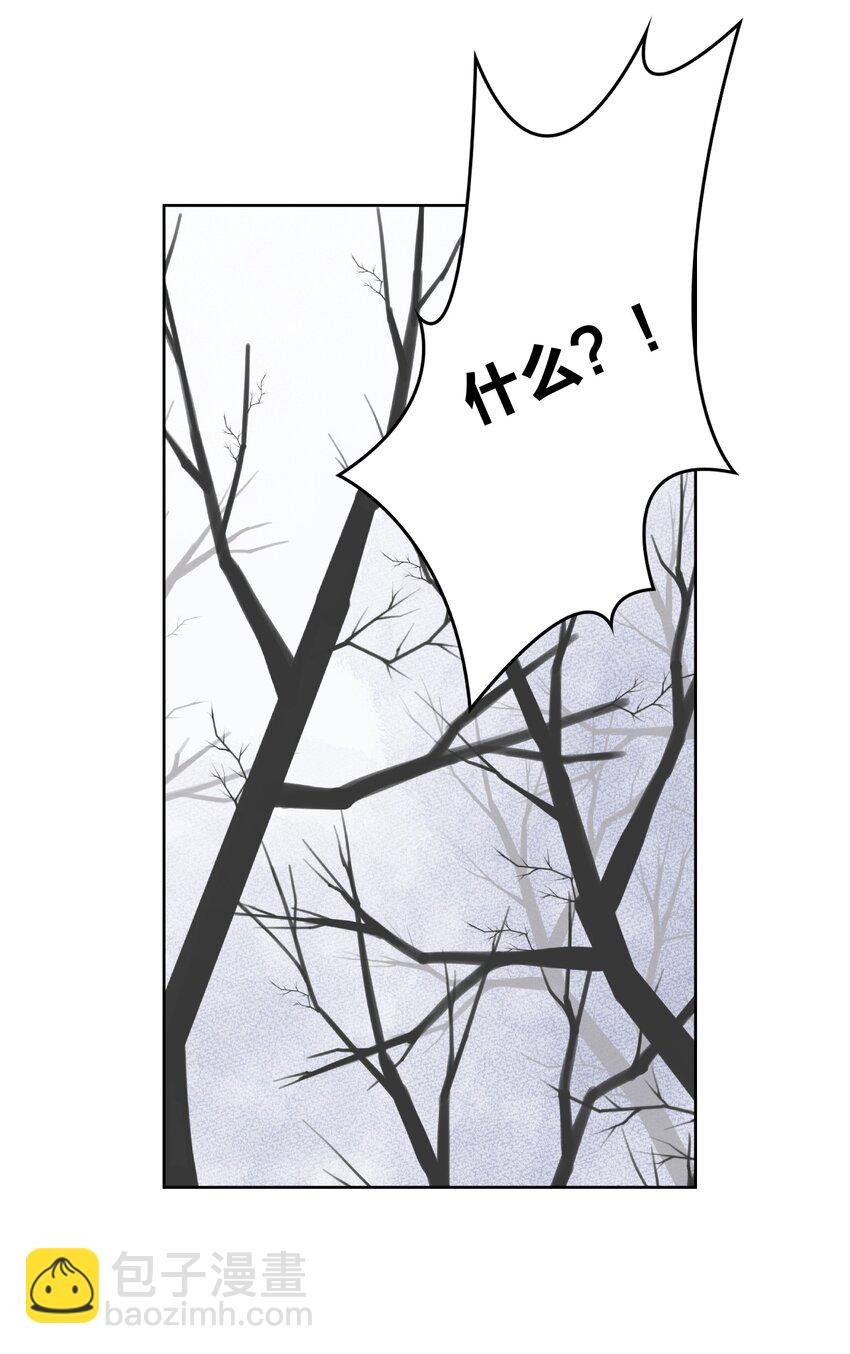 040 国度降临！