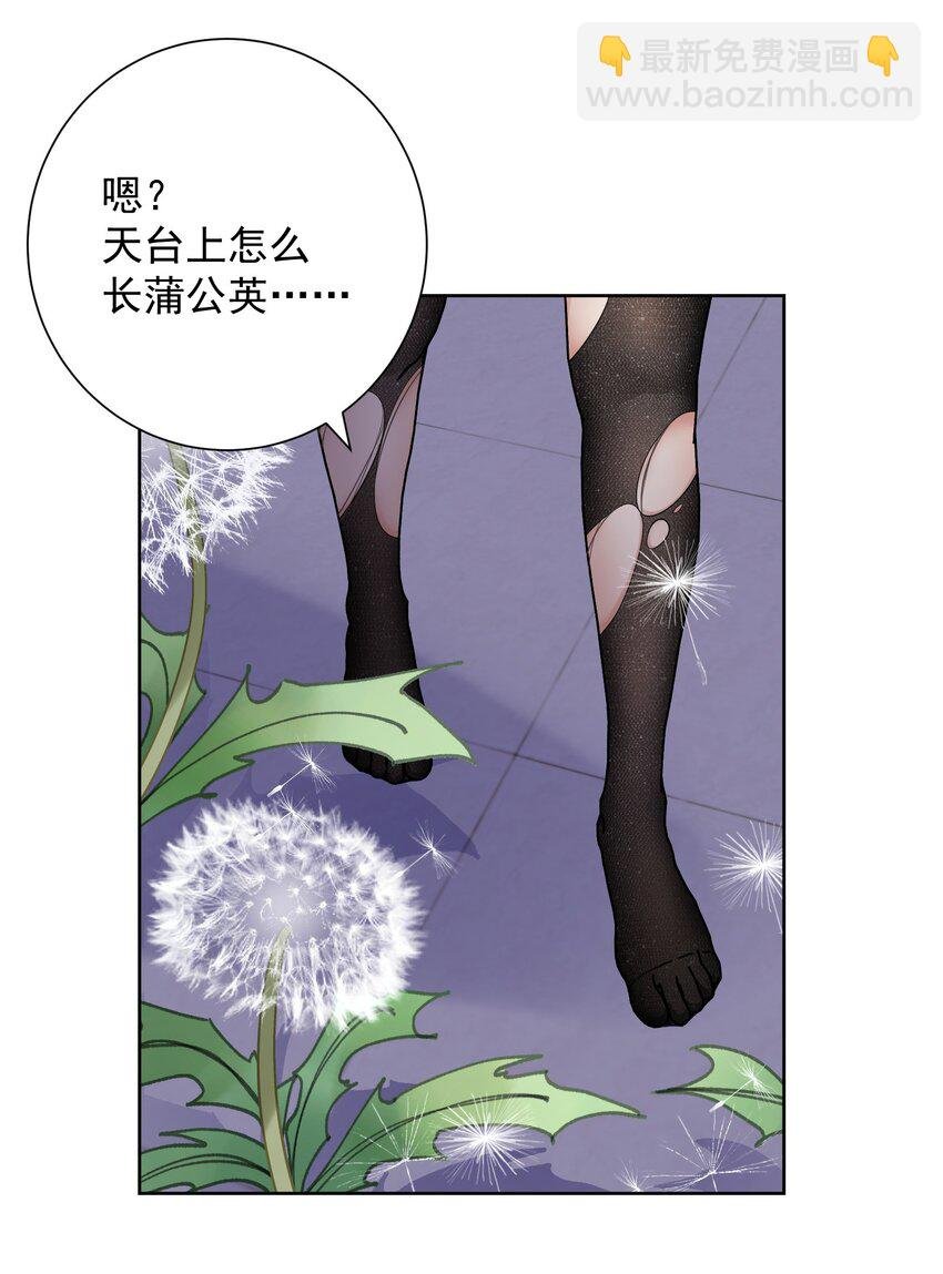 062 教主上天了